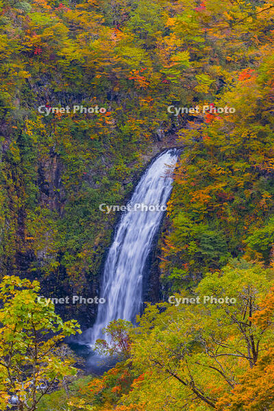 蔵王の不動滝 [YKA110023273]