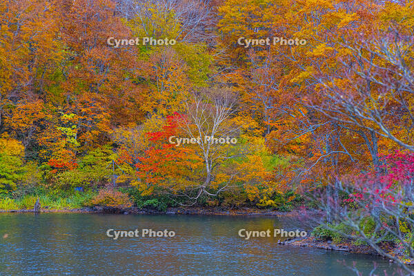 蔵王のドッコ沼 [YKA110023275]