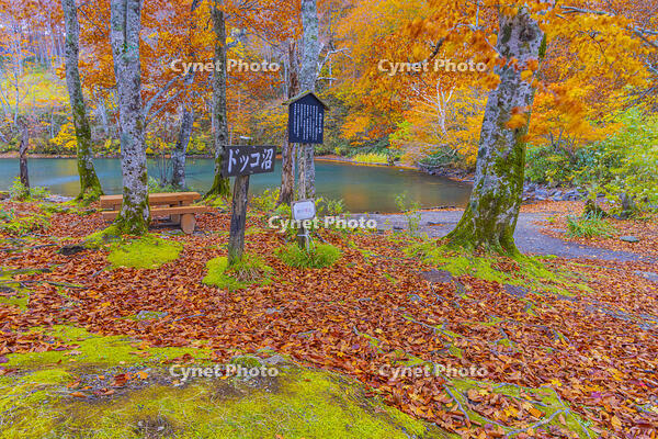 蔵王のドッコ沼 [YKA110023276]