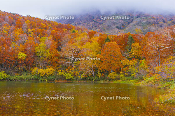 蔵王の片貝沼 [YKA110023278]