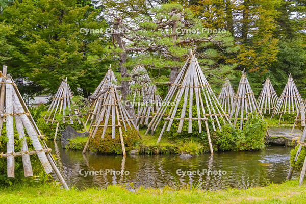 上杉記念館　庭園の雪囲い [YKA110023284]