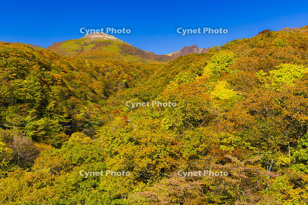 つつじ吊橋から那須岳 [YKA110023293]