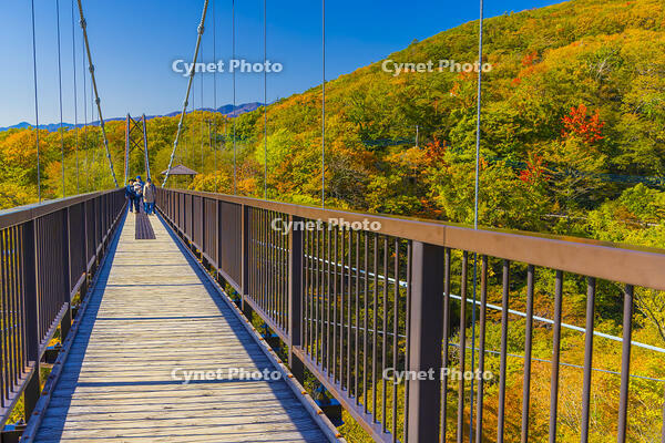 那須のつつじ吊橋 [YKA110023294]