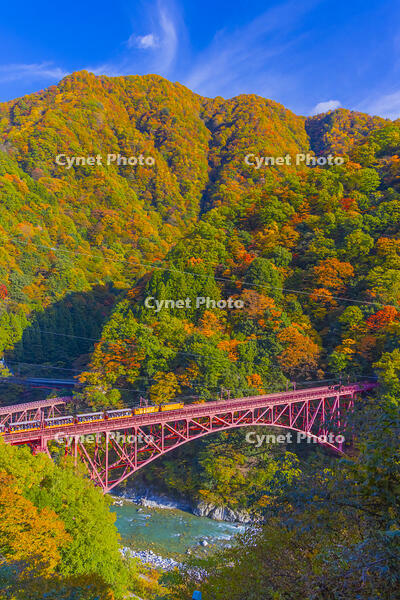 新山彦橋を渡るトロッコ電車 [YKA110023360]