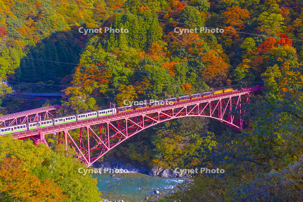 新山彦橋を渡るトロッコ電車 [YKA110023361]