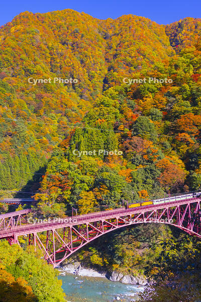 新山彦橋を渡るトロッコ電車 [YKA110023363]