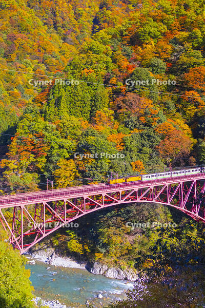 新山彦橋を渡るトロッコ電車 [YKA110023365]