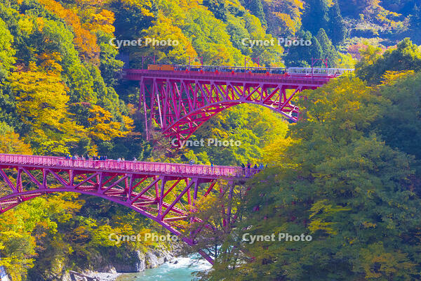 新山彦橋を渡るトロッコ電車 [YKA110023366]