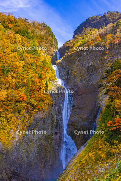 称名滝 [YKA110023372]