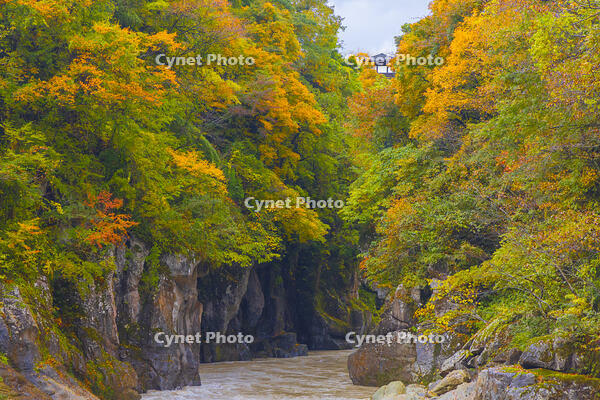 手取渓谷 [YKA110023375]