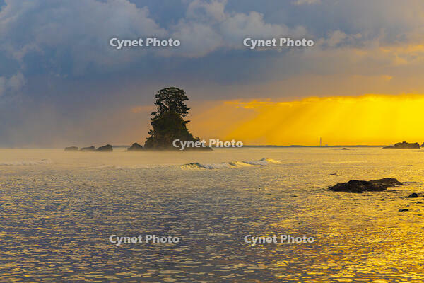 朝の雨晴海岸　女岩 [YKA110023380]