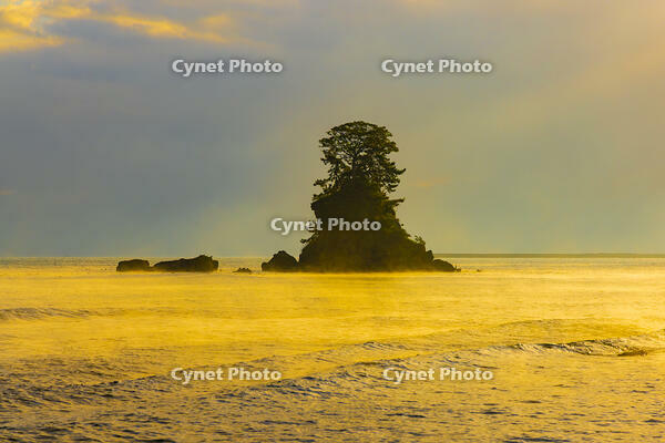 朝の雨晴海岸　女岩 [YKA110023381]