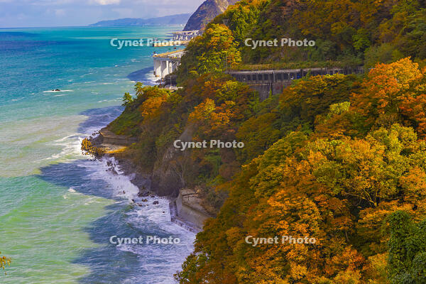 親不知海岸 [YKA110023382]