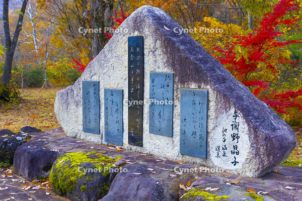 妙高高原の与謝野晶子の碑 [YKA110023386]