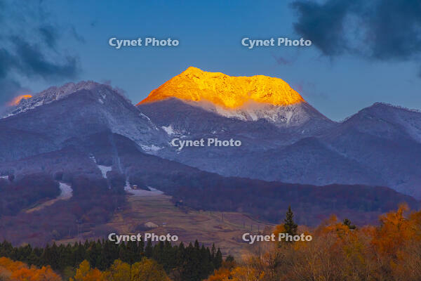 いもり池から朝の妙高山 [YKA110023387]