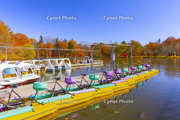 塩沢湖 [YKA110023388]