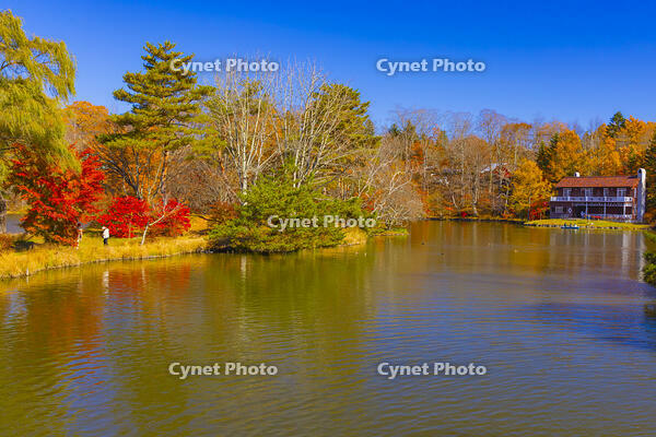 塩沢湖 [YKA110023389]