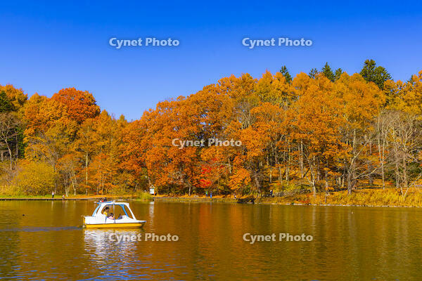 塩沢湖 [YKA110023390]