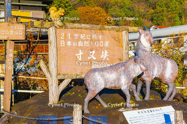 寸又峡のカモシカの像 [YKA110023394]