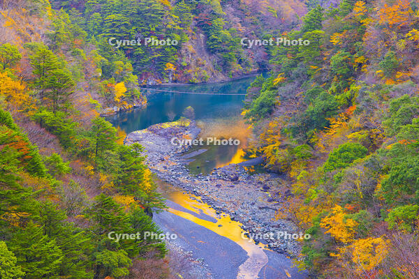寸又峡に架かる夢の吊り橋 [YKA110023395]