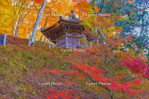 香嵐渓の太子堂 [YKA110023396]