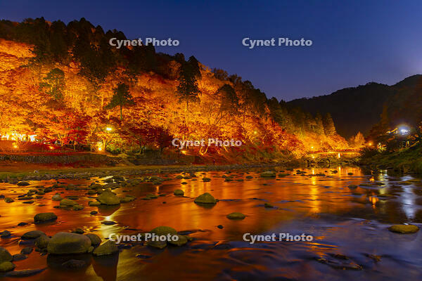 香嵐渓のライトアップ [YKA110023405]