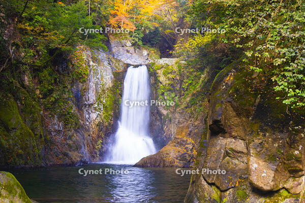 鳴沢の滝 [YKA110023407]