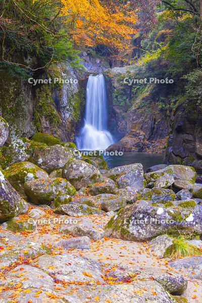 鳴沢の滝 [YKA110023409]