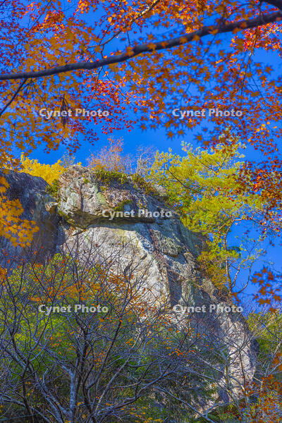 くらがり渓谷の猿飛の岩 [YKA110023411]