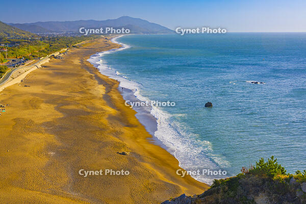 伊良湖岬の片浜十三里 [YKA110023413]