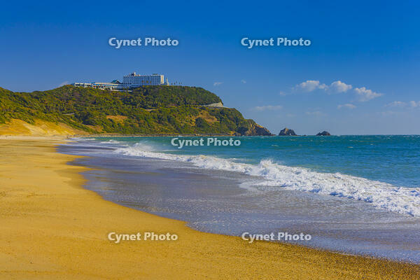 伊良湖岬の恋路ヶ浜 [YKA110023420]