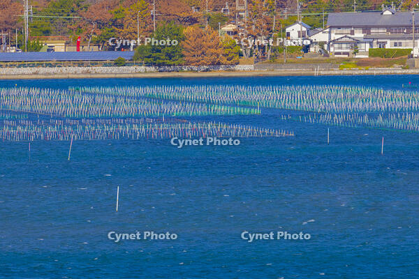 今切の丘から浜名湖の海苔の養殖筏 [YKA110023425]