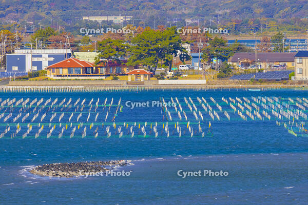 今切の丘から浜名湖の海苔の養殖筏とウミウの群れ [YKA110023426]