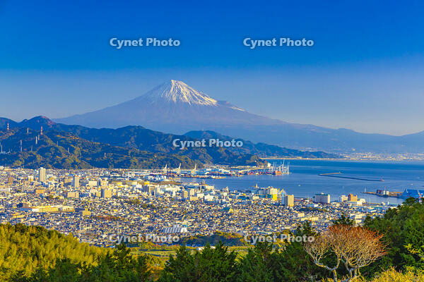 日本平から富士山 [YKA110023433]
