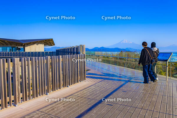 日本平夢テラスと富士山 [YKA110023435]