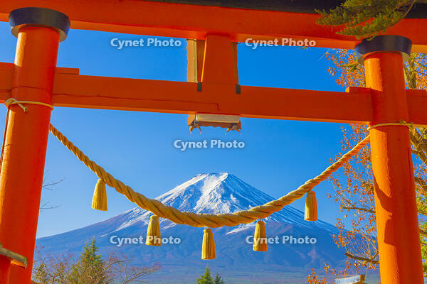 新倉山浅間公園の鳥居と富士山 [YKA110023450]