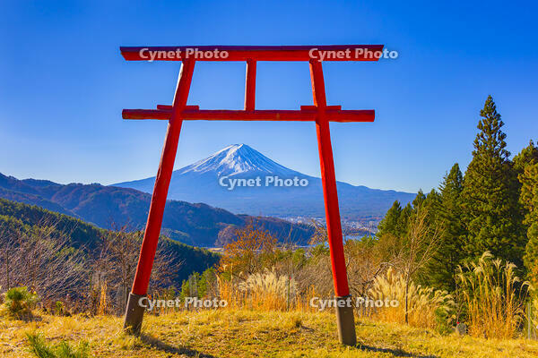 富士山遥拝所から富士山 [YKA110023451]