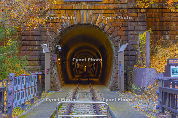 大日影トンネル遊歩道 [YKA110023456]