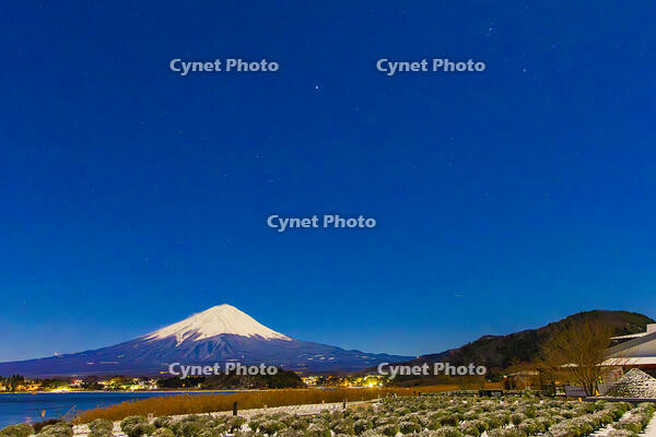 満月の大石公園から星空の河口湖と富士山 [YKA110023460]