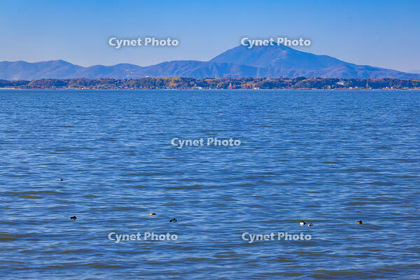 霞ヶ浦から筑波山 [YKA110023461]