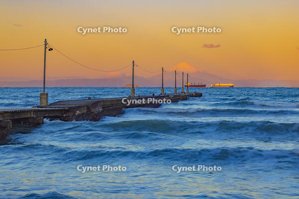朝の岡本桟橋と富士山 [YKA110023464]