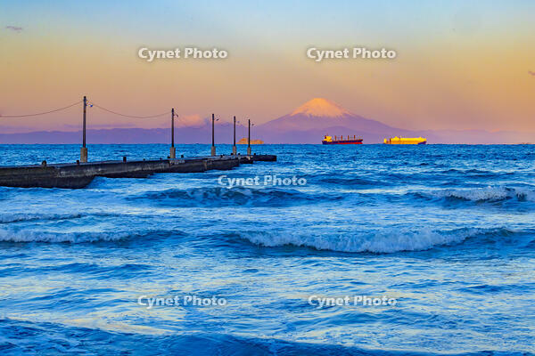 朝の岡本桟橋と富士山 [YKA110023465]