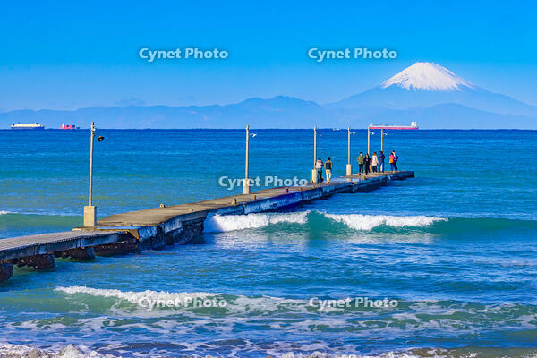 岡本桟橋と富士山 [YKA110023467]