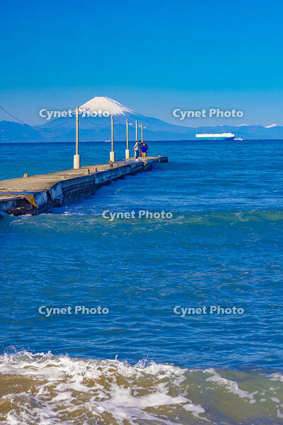 岡本桟橋と富士山 [YKA110023468]