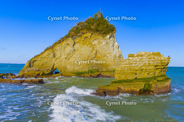 雀島 [YKA110023477]