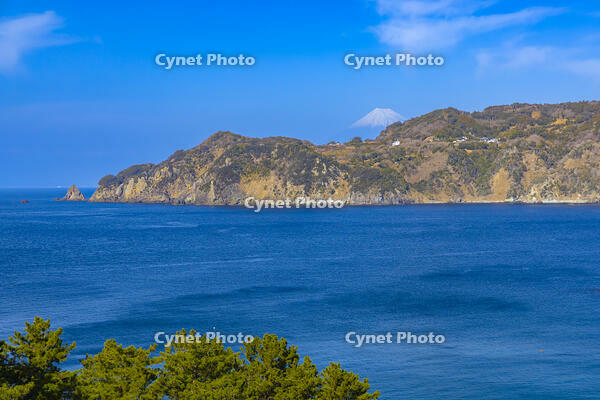 黄金崎 [YKA110023503]