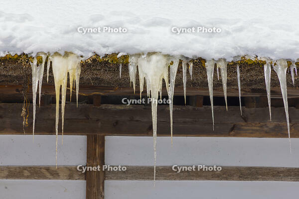 大内宿の茅葺き屋根の氷柱 [YKA110023512]
