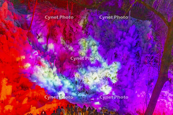 あしがくぼの氷柱　ライトアップ [YKA110023517]