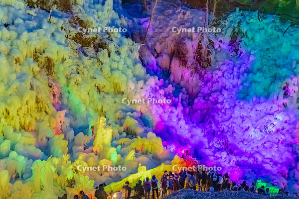 あしがくぼの氷柱　ライトアップ [YKA110023518]