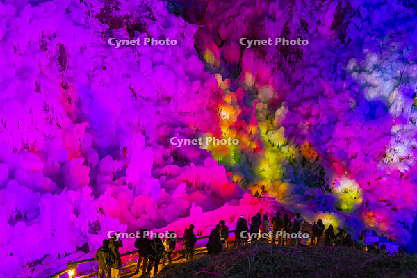 あしがくぼの氷柱　ライトアップ [YKA110023519]